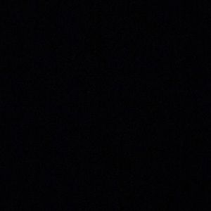 Meet your Posher, Dog